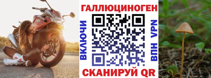 Галлюциногенные грибы Cubensis  Купить  Сураж 